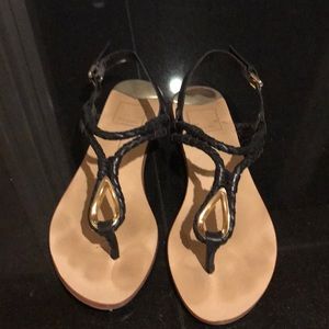 Dolce Vita Dixon sandals